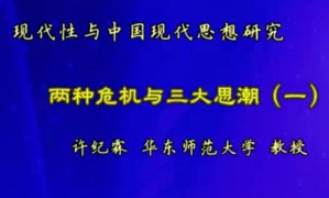 现代性与中国现代思想研究视频教程 许纪霖 28讲 华东师范大学