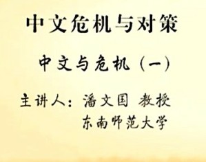 中文危机与对策视频教程 潘文国 22讲 华东师范大学
