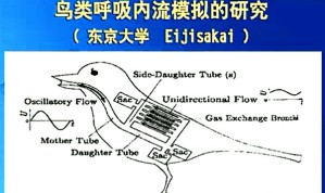 叶轮机械内部流动实验分析视频教程 吴克启 27讲 华中科技大学