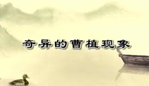 曹植与洛神赋视频教程 木斋 40讲 吉林大学