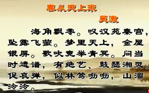金词通论视频教程 王昊 36讲 吉林大学