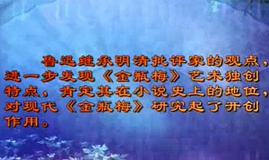 金瓶梅专题视频教程 王汝梅 16讲 吉林大学