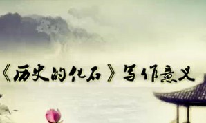 历史的化石 诗意的栖居视频教程 王洪 24讲 吉林大学