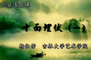 琵琶专业课视频教程 杨淑芳 11讲 吉林大学