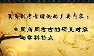 夏商周考古视频教程 井中伟 113讲 吉林大学
