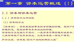 资本运营视频教程 宋玉臣 32讲 吉林大学