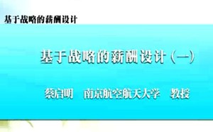基于战略的薪酬设计视频教程 蔡启明 8讲 南京航空航天大学