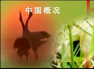 中国概况视频教程 吴鼎民 25讲 南京航空航天大学