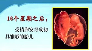 基础生命科学视频教程 张金红 45讲 南开大学