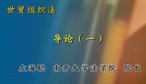 世贸组织法视频教程 左海聪 43讲 南开大学