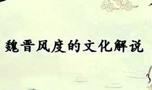 魏晋风度的文化解说视频教程 宁稼雨 15讲 南开大学