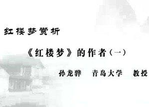 红楼梦赏析视频教程 孙龙骅 29讲 青岛大学