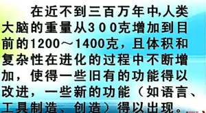 脑与语言认知 江铭虎 33讲 清华大学