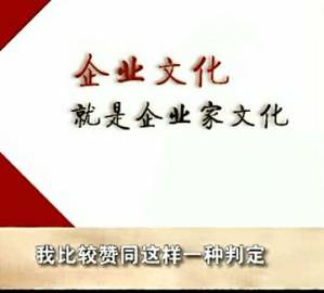 企业文化与企业竞争力视频教程 邹广文 14讲 清华大学