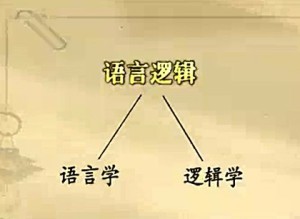 语言哲学和语言逻辑视频教程 蔡曙山 75讲 清华大学