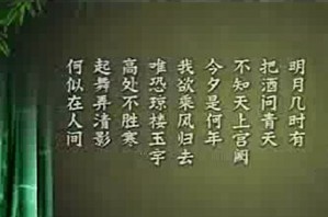 中国古代的歌与诗视频教程 张海明 34讲 清华大学