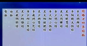 针灸（推拿）学入门视频教程 张水生 41讲 厦门大学