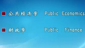 公共经济学视频教程 李一花 87讲 山东大学