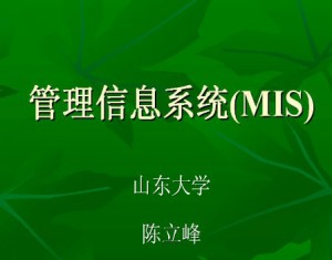 管理信息系统视频教程 陈立峰 40讲 山东大学