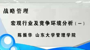 战略管理视频教程 陈振华 12讲 山东大学