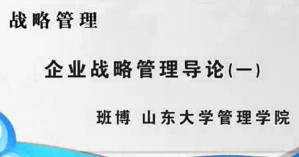 战略管理视频教程 班博 12讲 山东大学