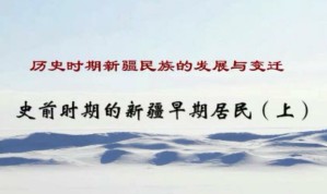 历史时期新疆民族的发展与变迁视频教程 周伟洲 10讲 陕西师范大学