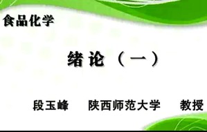 食品化学视频教程 段玉峰 85讲 陕西师范大学
