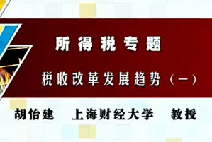 所得税专题视频教程 胡怡建 13讲 上海财经大学