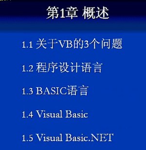 VB net视频教程 30讲 上海交通大学
