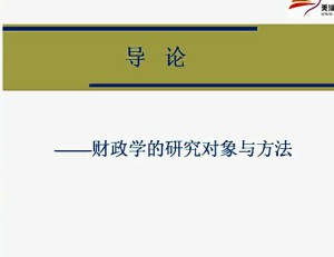 财政与税收视频教程 51讲 上海交通大学