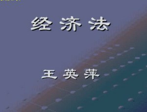 经济法视频教程 39讲 上海交通大学