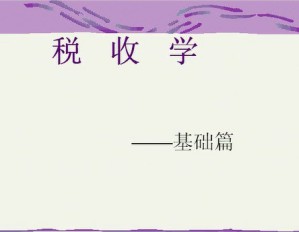 税收原理视频教程 31讲 上海交通大学