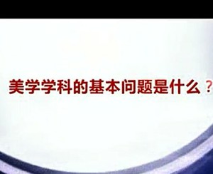 王杰谈美学系列视频教程 王杰 31讲 上海交通大学