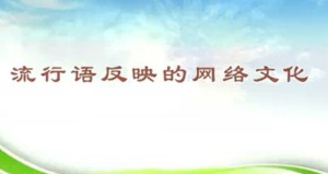 流行语反映的时尚文化专题视频教程 仓理新 19讲 首都师范大学