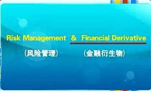 金融衍生产物定价理论视频教程 梁进 84讲 同济大学
