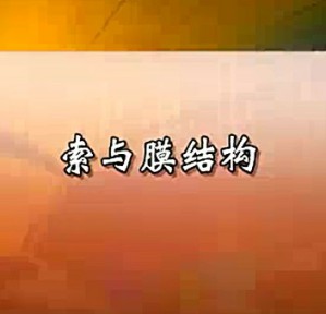 索与膜结构视频教程 张其林 25讲 同济大学
