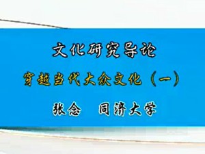 文化研究导论 张念 48讲 同济大学