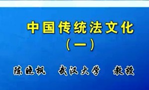 中国传统法文化视频教程 陈晓枫 9讲 武汉大学