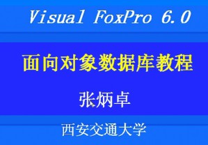 Visual FoxPro 6 面向对象数据库视频教程 张炳卓 26讲 西安交通大学