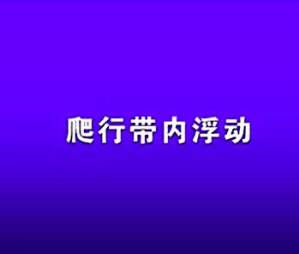 国际金融学视频教程 奚君羊 12讲 上海财经大学