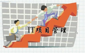 IT项目管理视频教程 28讲 上海交通大学