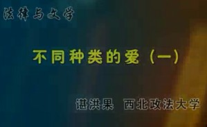 法律与文学视频教程 谌洪果 51讲 西北政法大学