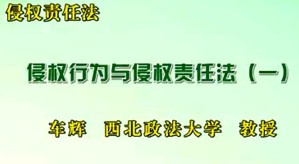 侵权责任法视频教程 车辉 39讲 西北政法大学