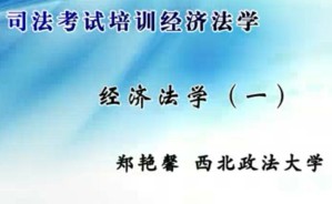 司法考试培训经济法学视频教程 郑艳馨 31讲 西北政法大学