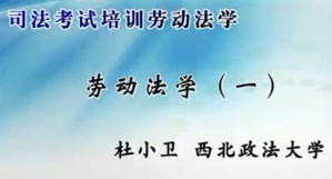司法考试培训劳动法学视频教程 杜小卫 10讲 西北政法大学