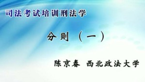 司法考试培训刑法学视频教程 陈京春 38讲 西北政法大学
