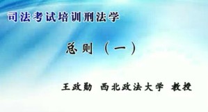 司法考试培训刑法学视频教程 王政勋 40讲 西北政法大学