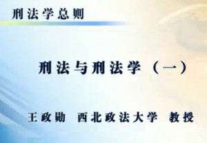 刑法学总则视频教程 王政勋 67讲 西北政法大学