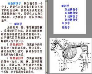 畜禽解剖及组织胚胎学视频教程 王家刚 吴旧生 25学时 浙江大学