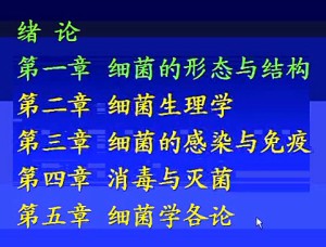 动物微生物学视频教程 马有智 24学时 浙江大学